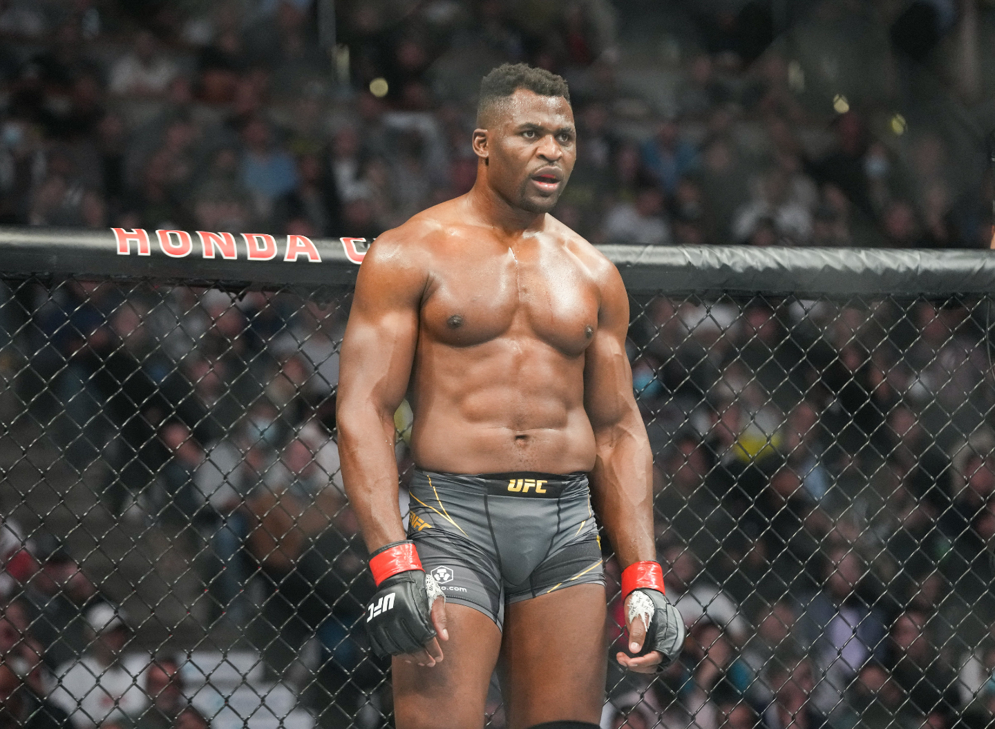 Francis Ngannou Se Confie Sur Sa Plus Grosse Peur