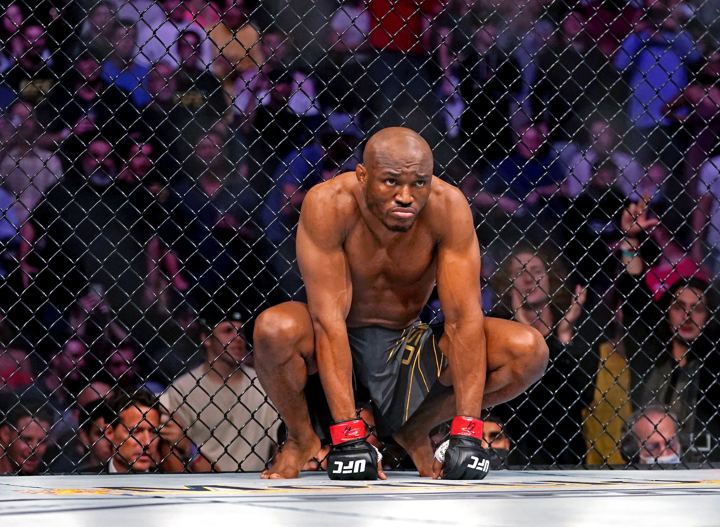 Cédric Doumbé se paie Kamaru Usman
