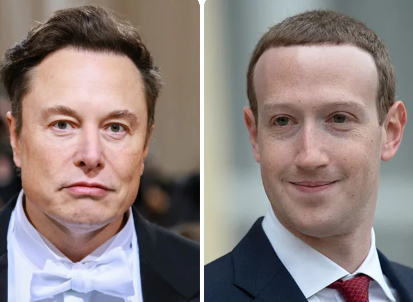 Elon Musk VS Mark Zuckerberg : le patron de Tesla commence son